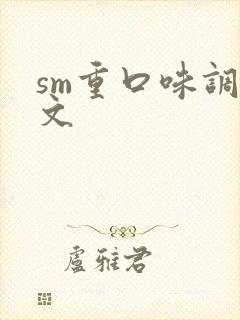 sm重口味调教文封面