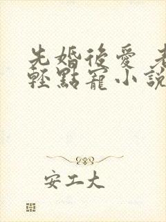 先婚后爱 老公轻点宠小说