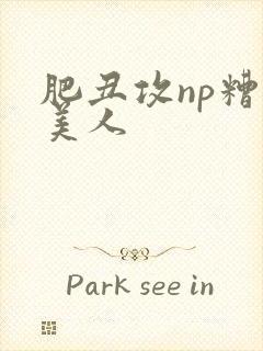 肥丑攻np糟蹋美人