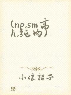 (np,sm高h,纯肉)封面