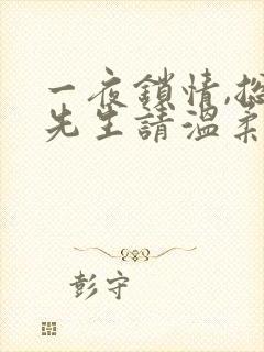 一夜锁情,总裁先生请温柔电子书免费看