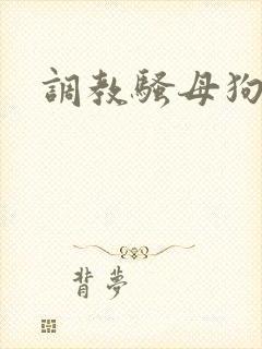 调教骚母狗主人