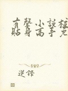 有声小说校花的贴身高手免费