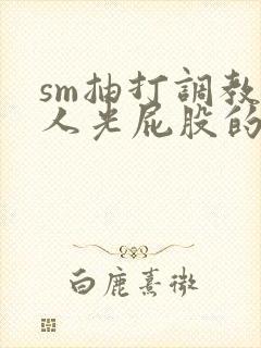 sm抽打调教女人光屁股的作文封面