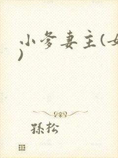 小爹妻主(女尊)