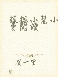 张总小慧小说免费阅读