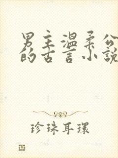 男主温柔公子型的古言小说