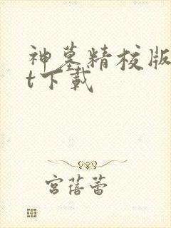 神墓精校版txt下载