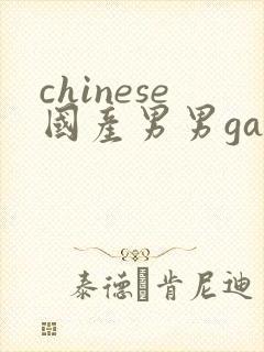 chinese国产男男gaygay网站