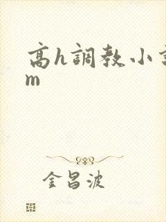 高h调教小说sm封面