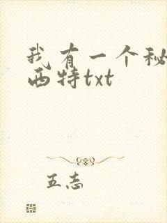我有一个秘密西西特txt