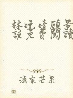 林晚晴顾景辰小说免费阅读最新章节