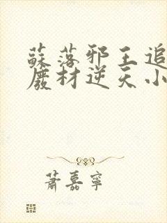 苏落邪王追妻:废材逆天小姐字数