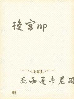 后宫np