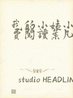 我的小姨小说免费阅读叶凡