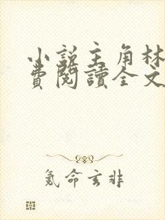 小说主角林风免费阅读全文