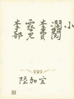 李霖李澜小说全部免费阅封面