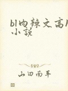 bl肉辣文高h小说