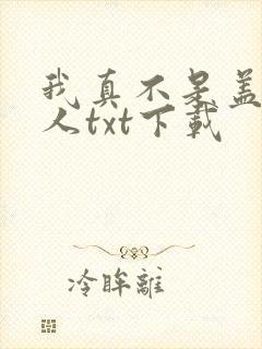 我真不是盖世高人txt下载