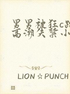 男男被狂c躁到高潮失禁小说