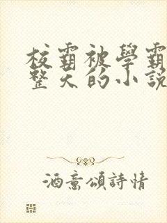 校霸被学霸罚一整天的小说