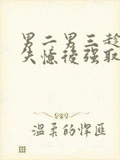 男二男三趁女主失忆后强取豪夺小说封面