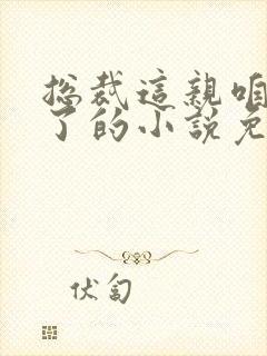 总裁这亲咱别相了的小说免费阅读