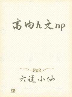 高肉h文np