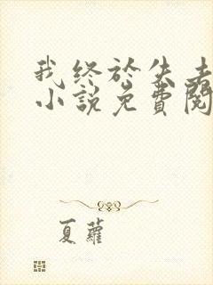 我终于失去你了小说免费阅读