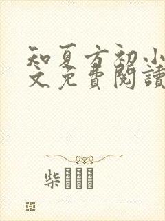 知夏方初小说全文免费阅读最新章节封面