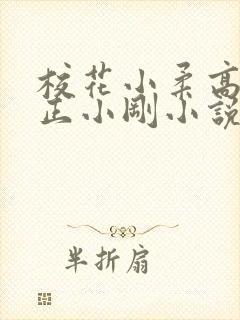 校花小柔高达小正小刚小说