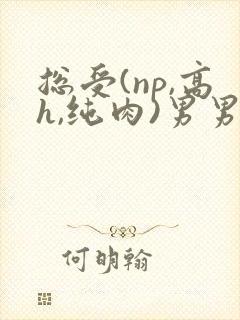 总受(np,高h,纯肉)男男文
