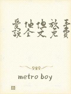 爱他但放手了小说全文免费阅读