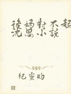 后妈对不起李兵沈思小说