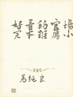 好看的官场小说完本推荐小说封面