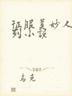 征服美妙人妻系列小说封面