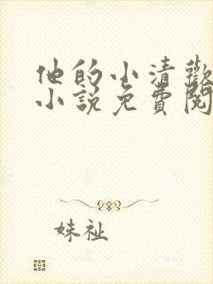 他的小清欢全网小说免费阅读