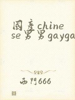 国产chinese男男gaygay网站钙站封面