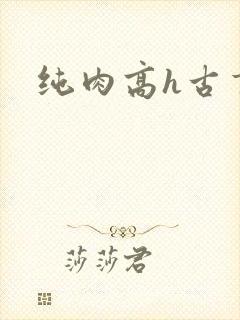 纯肉高h古言