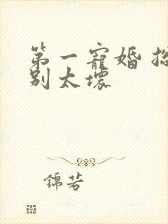 第一宠婚 总裁别太坏