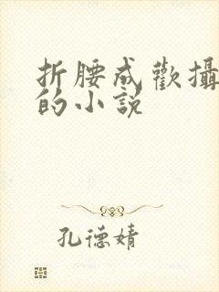 折腰成欢摄政王的小说封面