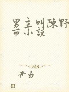 男主叫陈野的都市小说