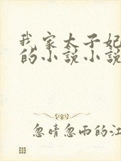 我家太子妃超凶的小说小说封面