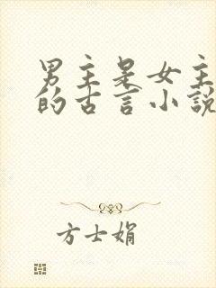 男主是女主夫子的古言小说