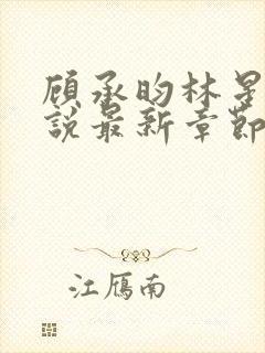 顾承昀林星禾小说最新章节免费阅读