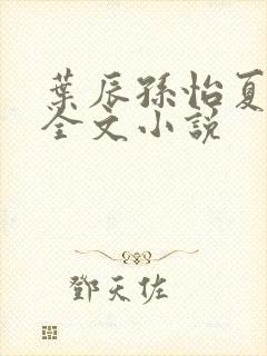 叶辰孙怡夏若雪全文小说