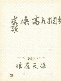 求操高h捆绑小说