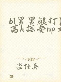 bl男男腿打开高h总受np文封面