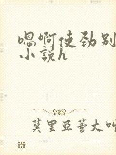 嗯啊使劲别停啊小说h