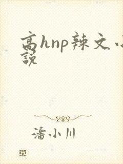 高hnp辣文小说